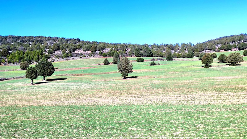 Picture of Ablanque, Castille-La Mancha, Spain