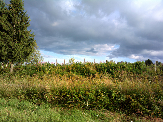 Picture of Jämsä, Central Finland, Finland