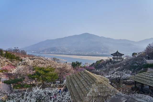 Picture of Kwangyang, Jeollanam-do, South Korea