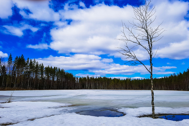 Picture of Leppävirta, Northern Savo, Finland