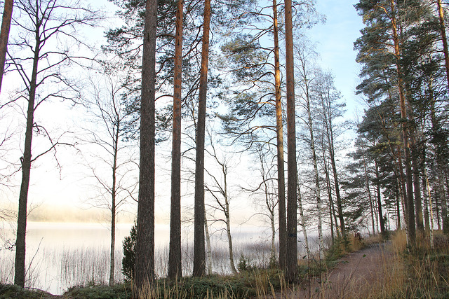 Picture of Mäntyharju, Southern Savonia, Finland