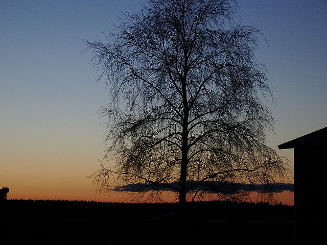 Picture of Nivala, Northern Ostrobothnia, Finland