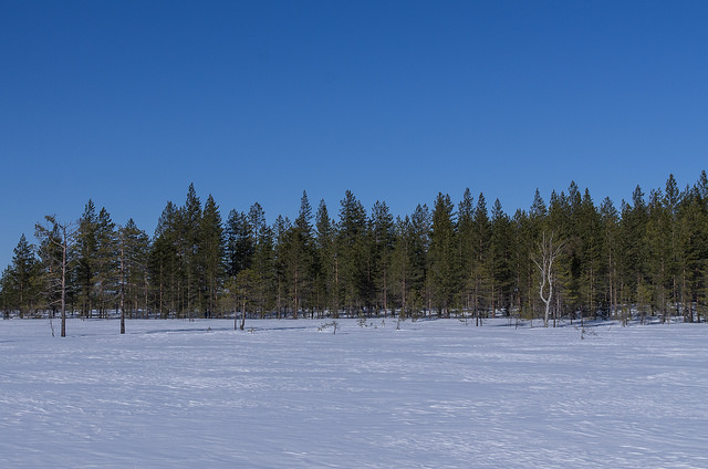 Picture of Pudasjärvi, Northern Ostrobothnia, Finland