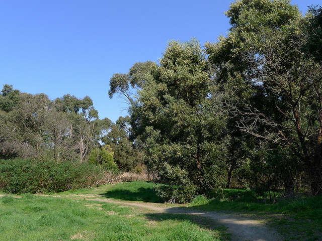 Picture of Rowville, Victoria-AU, Australia