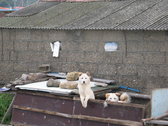 Picture of Sinan, Jeollanam-do, South Korea