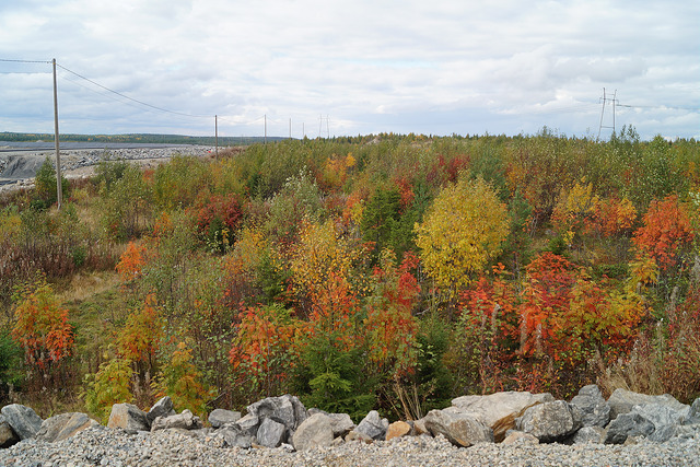 Picture of Sotkamo, Kainuu, Finland