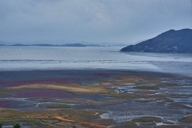 Picture of Suncheon, Jeollanam-do, South Korea