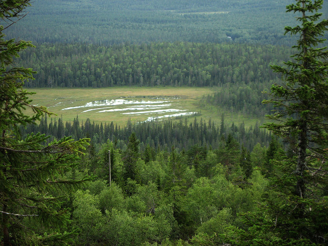 Picture of Vuokatti, Kainuu, Finland