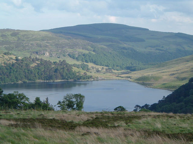 Picture of Wicklow, Leinster, Ireland